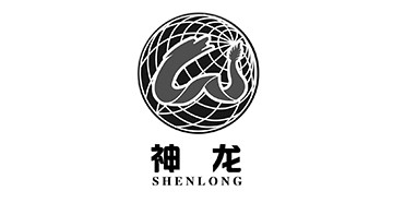 神龍集團戰略