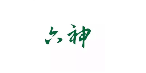 六神日化用品品牌戰略