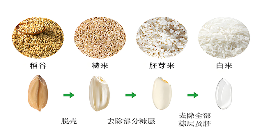 大米品牌戰略分析